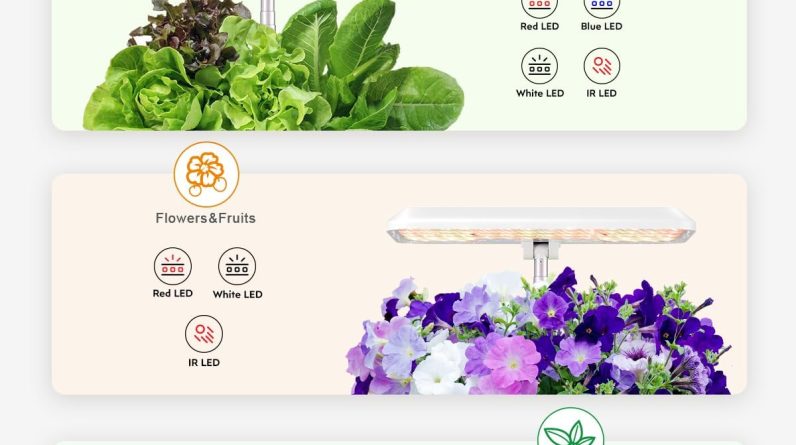 The Ultimate Guide to Hydroponic Growing Without Soil in 2025: 7 Effective Tips to Boost Your Harvest 1 SEO Optimized Image