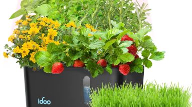 The Ultimate Guide to the Best Hydroponic Nutrient Solution Strategies for 2025 10 SEO Optimized Image
