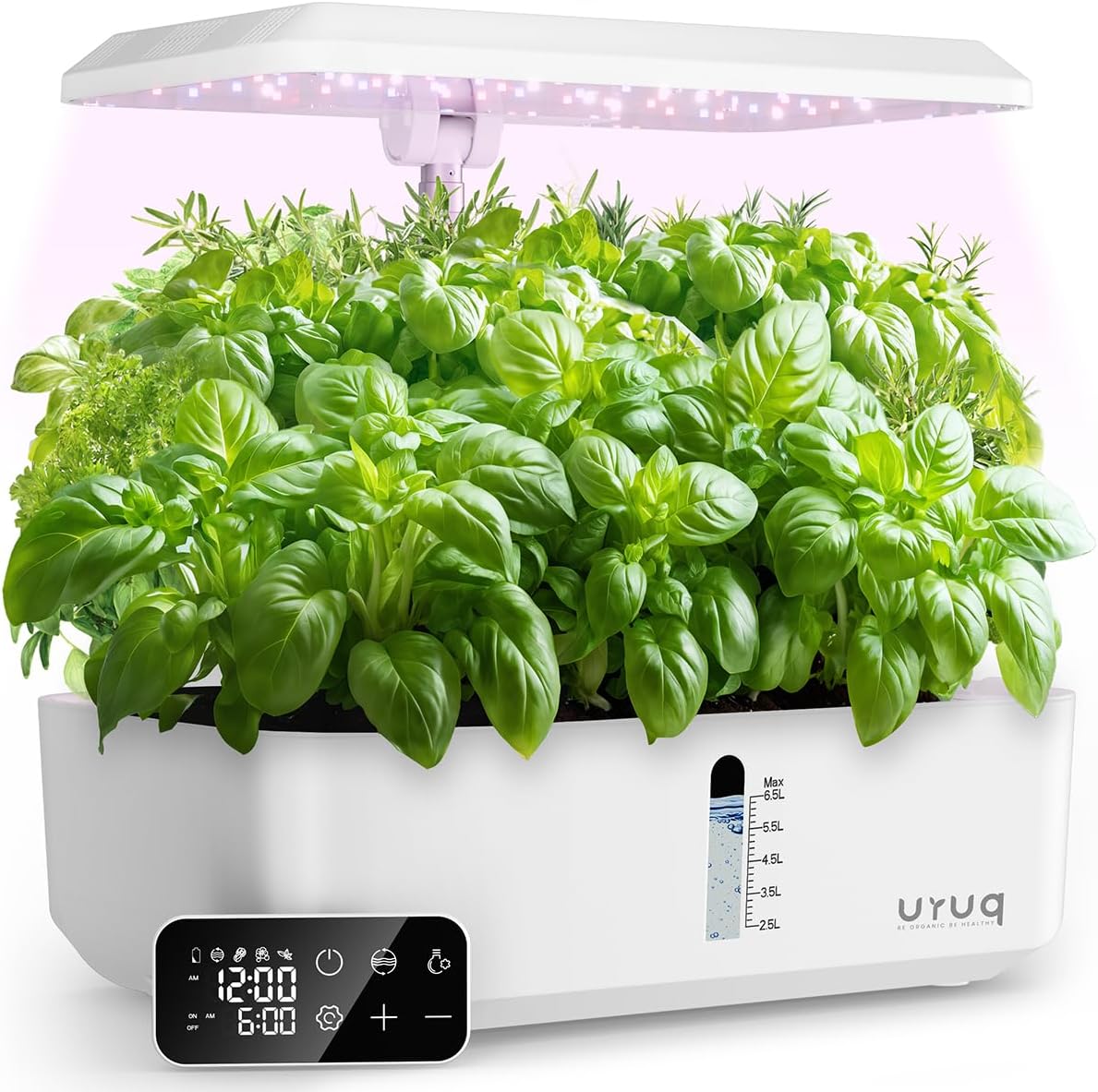 The Ultimate Guide to the 10 Best Plants for Hydroponics in 2025 ...