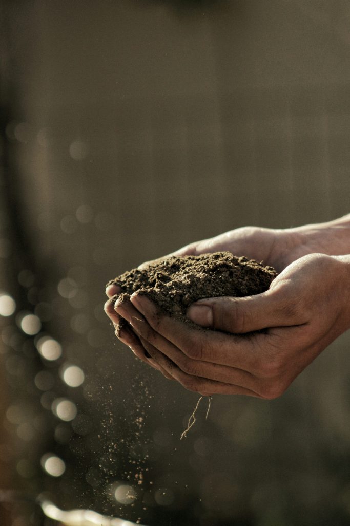 Hydroponic Gardening for Sustainable Food Production