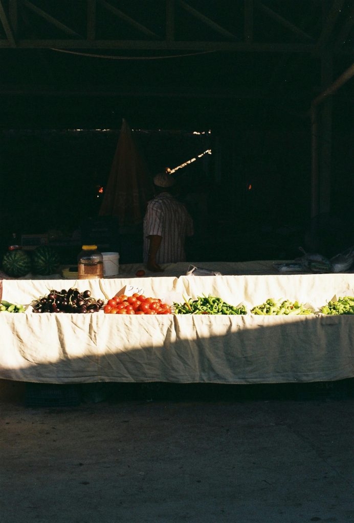 Hydroponic Growing System vs. Traditional Soil Farming: A Comparison