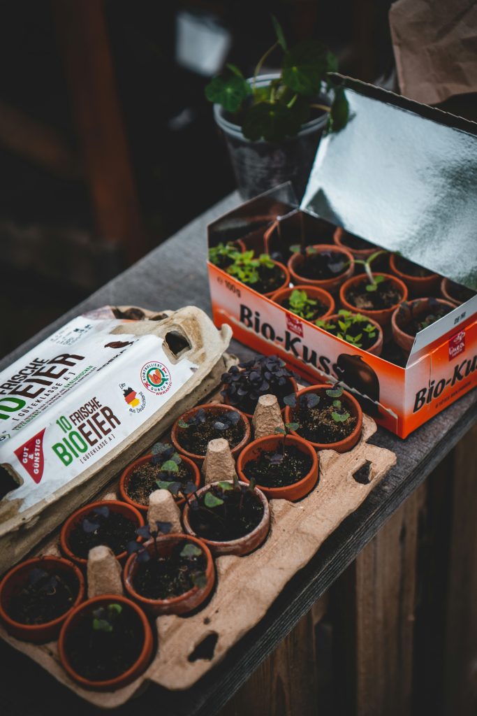 The Benefits of Hydroponic Gardening