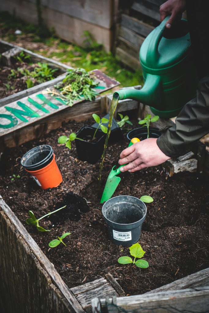 The Science Behind Hydroponic Gardening