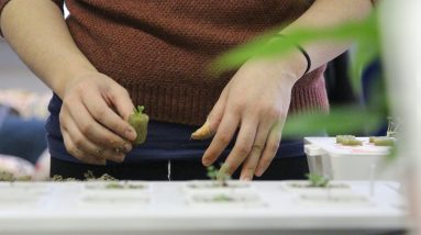 Could Hydroponic Gardening Solve the Global Food Crisis? 16 could hydroponic gardening solve the global food crisis 2