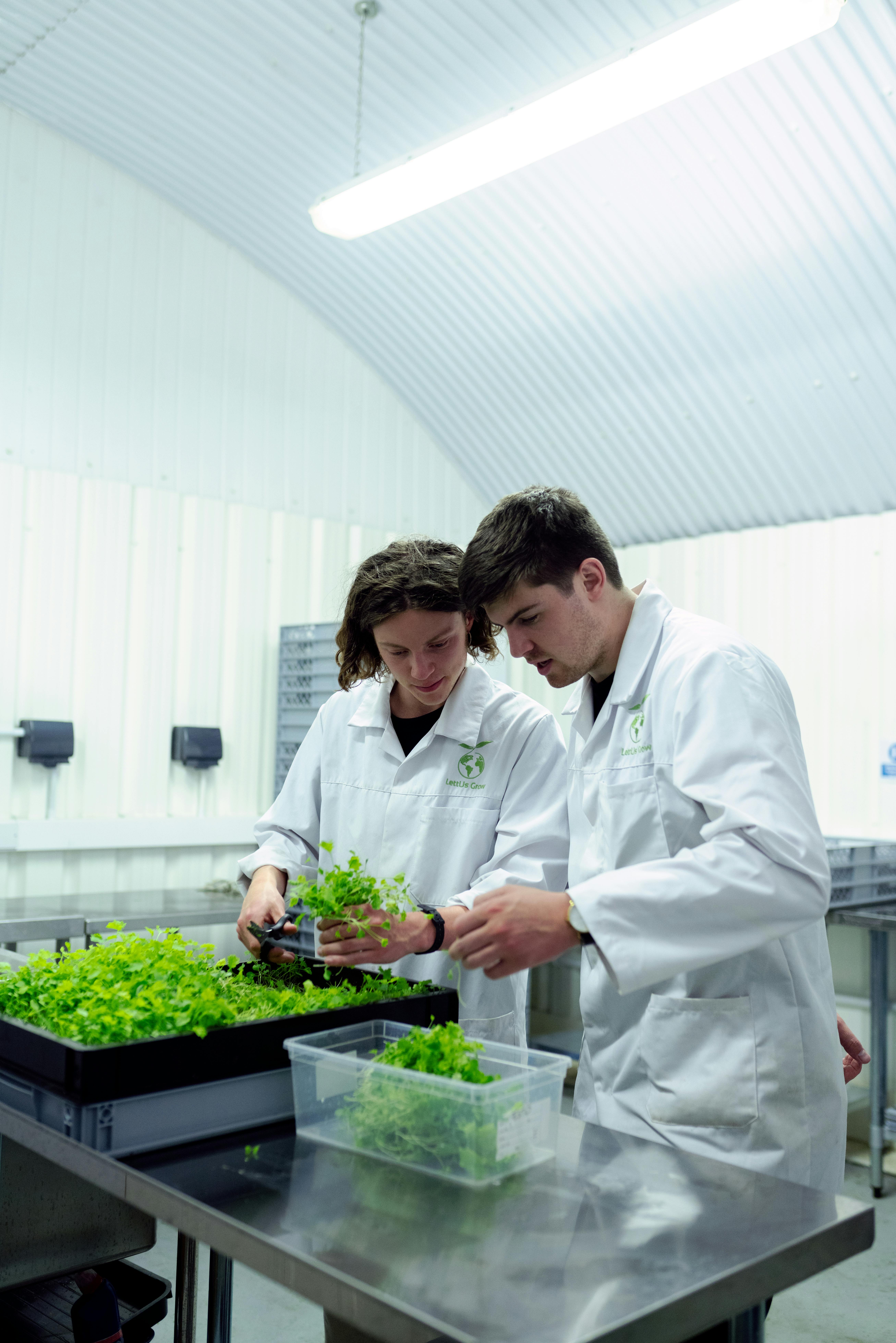 How to Build a Kratky Hydroponic System for Beginners 4 SEO Optimized Image