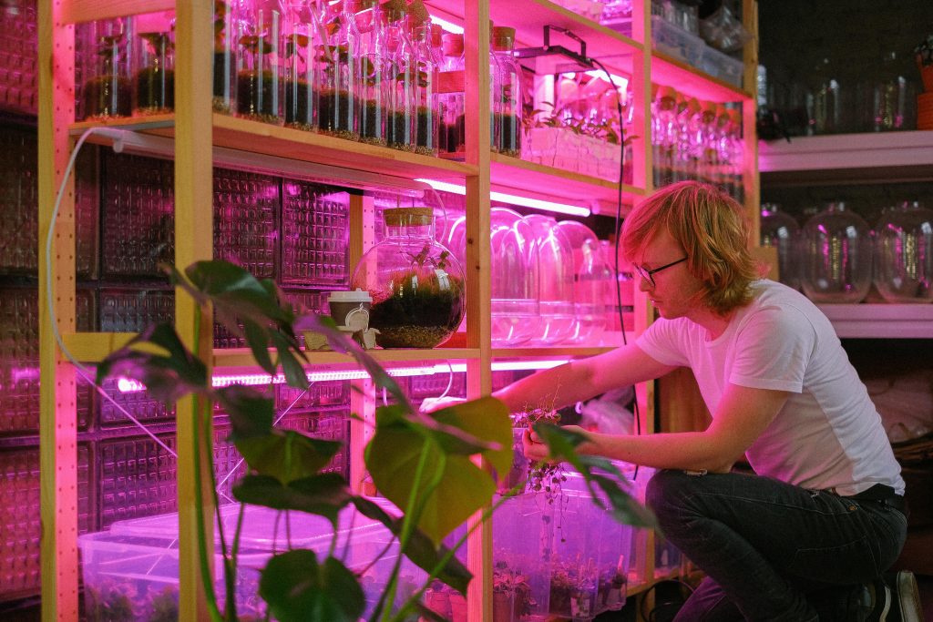 Benefits of Hydroponic Farming in Small Spaces