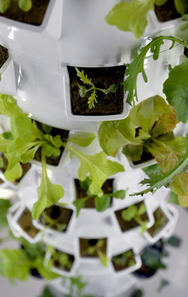 Benefits of Vertical Hydroponic Gardens