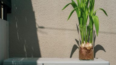 Can Hydroponic Farming Help Fight Climate Change? 10 can hydroponic farming help fight climate change 1
