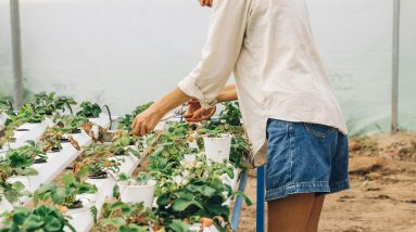 How to Install Hydroponic Systems in Small Spaces 20 how to install hydroponic systems in small spaces