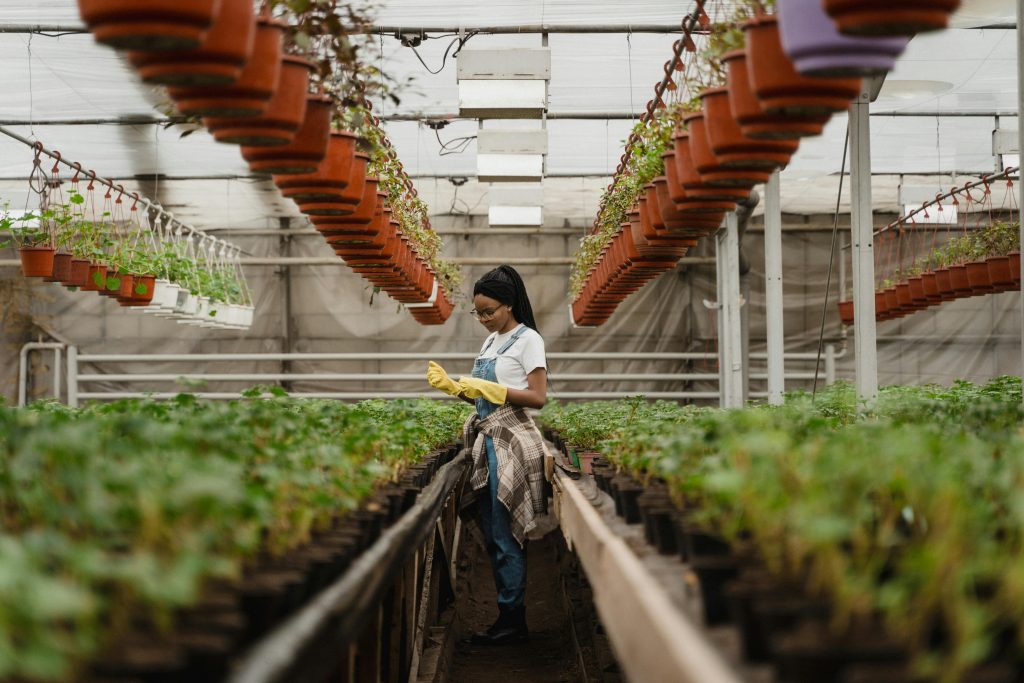 How to Install Hydroponic Systems in Small Spaces