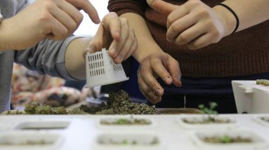 Hydroponic Growing Systems: A Sustainable Approach to Modern Gardening 12 hydroponic growing systems a sustainable approach to modern gardening 2