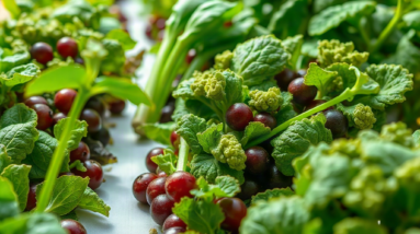 How Harvest Timing Affects Hydroponic Flavor Across Herbs, Greens, and Fruiting Crops